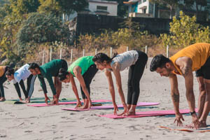 hatha-yoga-teacher-training