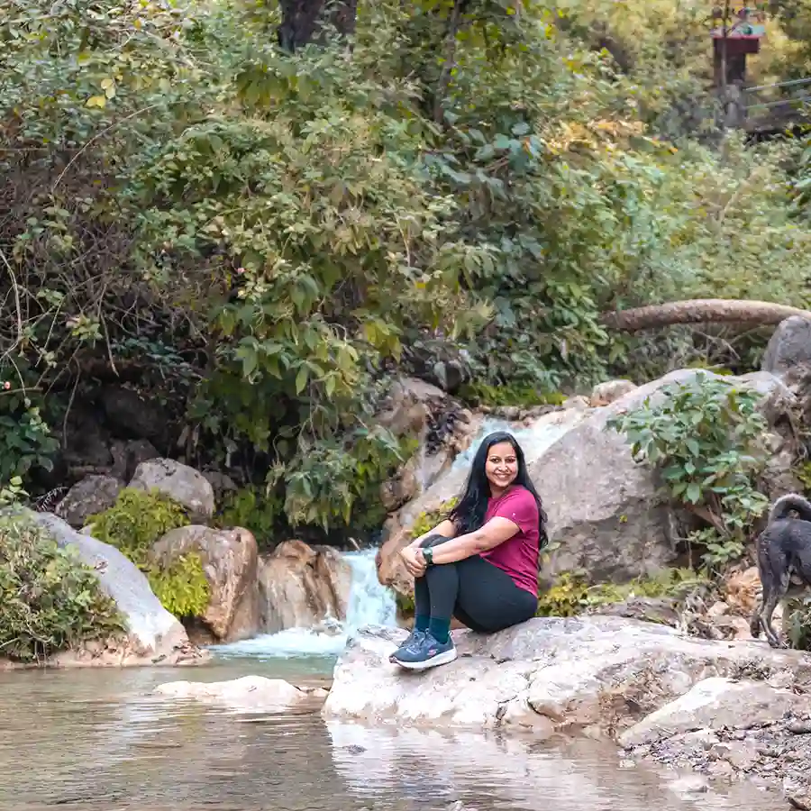 waterfall-in-rishikesh